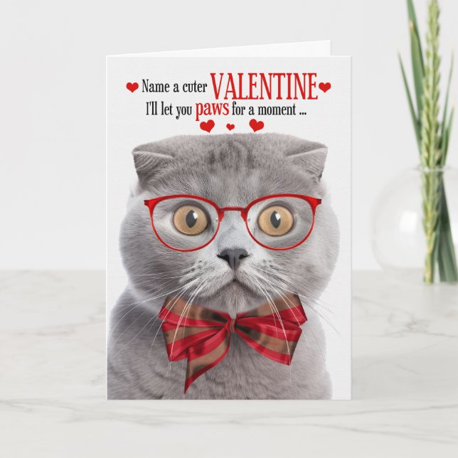 Smoke Scottish Fold Cat Valentine Feline Humour Holiday Card (Front)