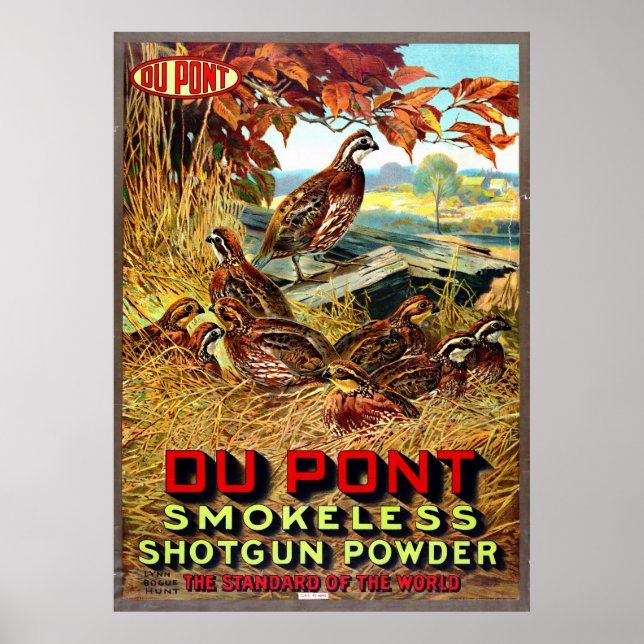 Smokeless Shotgun Powder Ad 1913 Poster (Front)