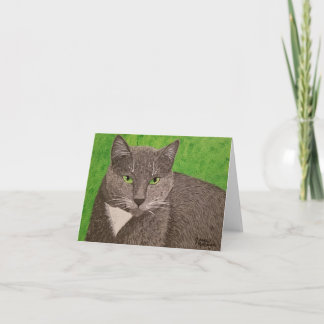 Smokey Cat blank card. Card