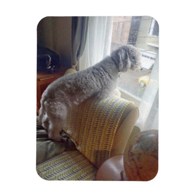 Smokey Magnet (Vertical)