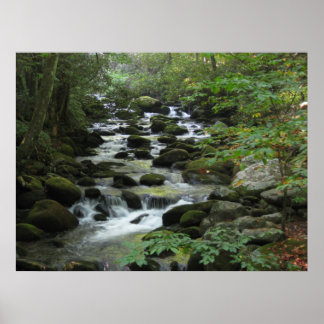 Smokey Mountains Poster