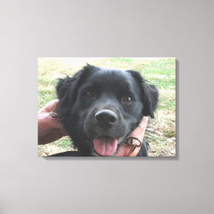 Smokey Poses For the Camera Canvas Print