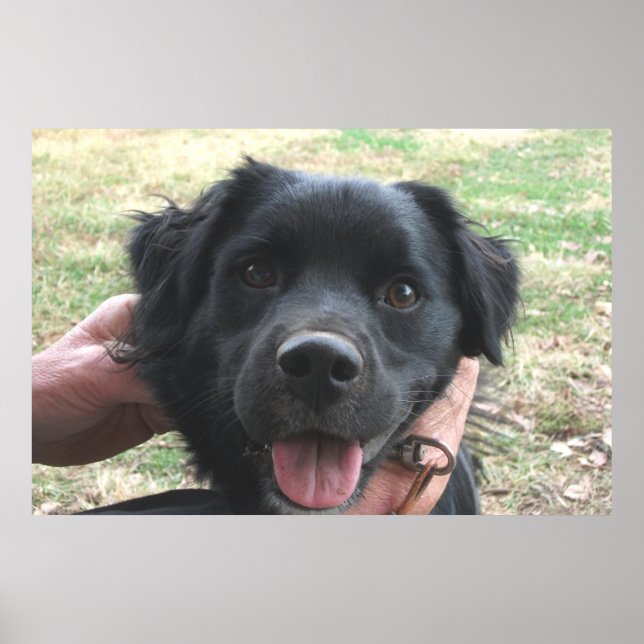 Smokey Poses For The Camera Poster (Front)
