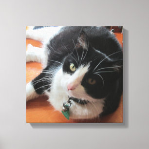 Smokey The Cat Canvas Print