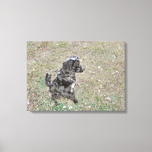Smokey Watches and Waits Canvas Print