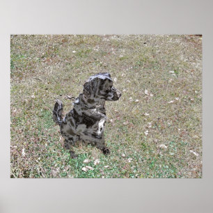 Smokey Watches & Waits Poster