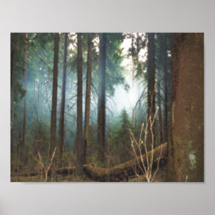 Smokey woods poster