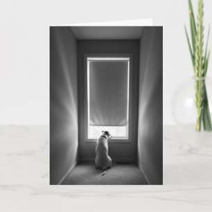Smokey's Place (dog by window) Blank Greeting Card