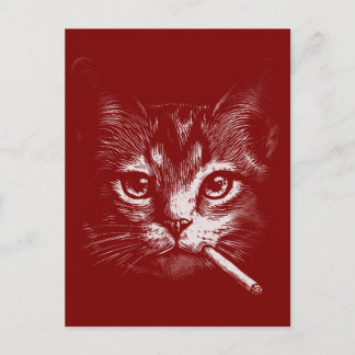 Smoking Cat Funny  Postcard