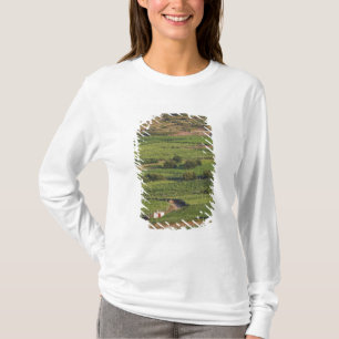 Smokvica vineyards on Korcula from the Toreta T-Shirt