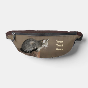 Smoky Grey Tabby Cat Bum Bags
