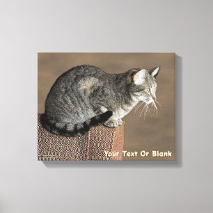 Smoky Grey Tabby Cat Canvas Print