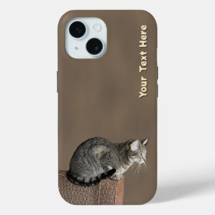 Smoky Grey Tabby Cat iPhone 15 Case