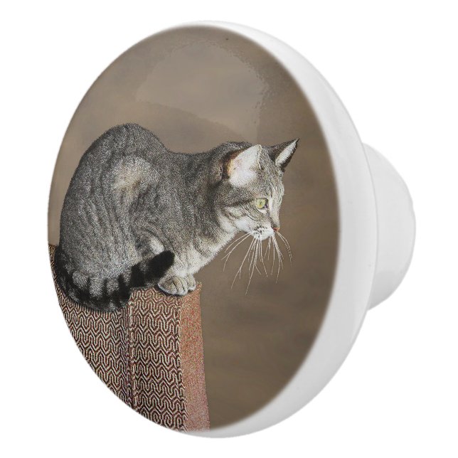 Smoky Grey Tabby Cat Ceramic Knob (Right)