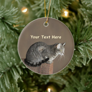 Smoky Grey Tabby Cat Ceramic Tree Decoration