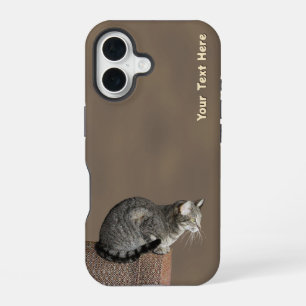 Smoky Grey Tabby Cat iPhone 16 Case