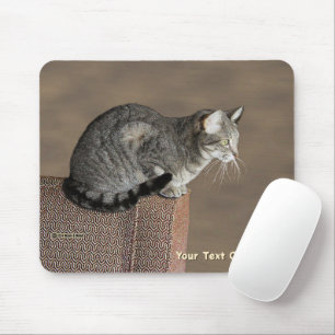 Smoky Grey Tabby Cat Mouse Mat
