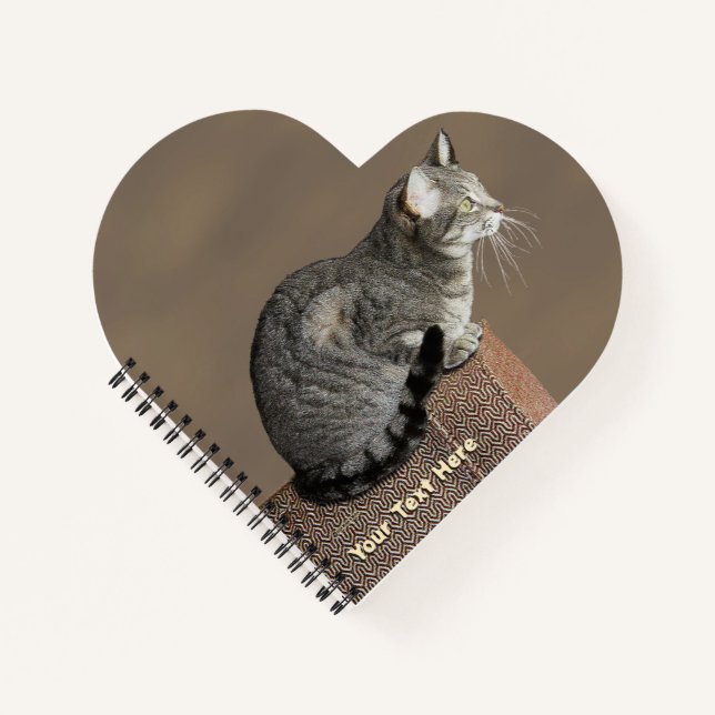 Smoky Grey Tabby Cat Notebook (Front)