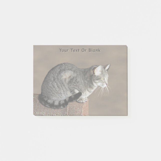 Smoky Grey Tabby Cat Post-it Notes (Front)