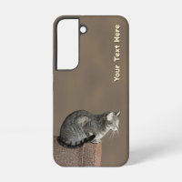 Smoky Grey Tabby Cat