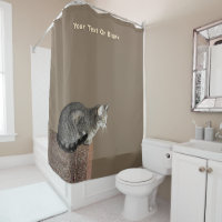 Smoky Grey Tabby Cat
