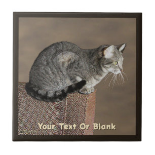 Smoky Grey Tabby Cat Tile