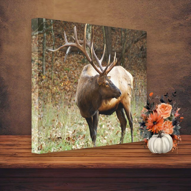Smoky Mountain Elk  Canvas Print (Creator Uploaded)