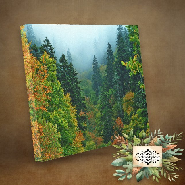 Smoky Mountain Fall Foliage Canvas Print (Creator Uploaded)
