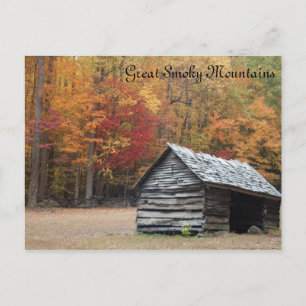 Smoky Mountain fall Postcard