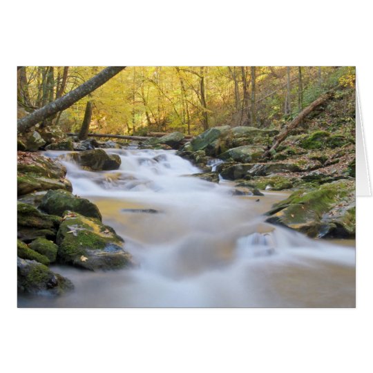 Smoky Mountain Stream Card