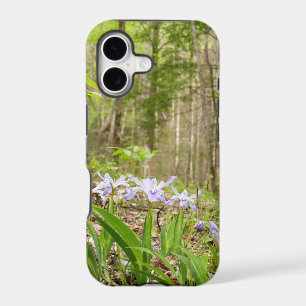 Smoky Mountain Trail in Spring