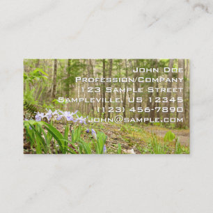 Smoky Mountain Trail in Spring Business Card