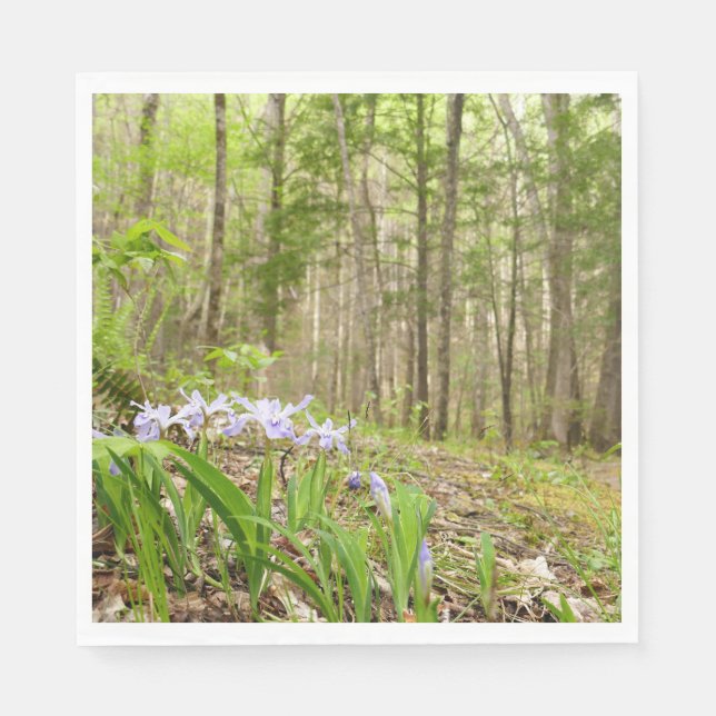 Smoky Mountain Trail in Spring Napkin (Front)