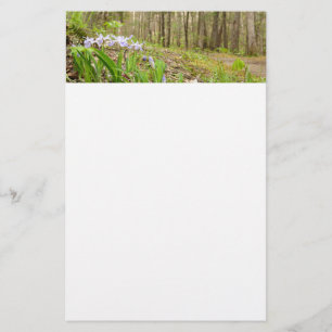 Smoky Mountain Trail in Spring Stationery