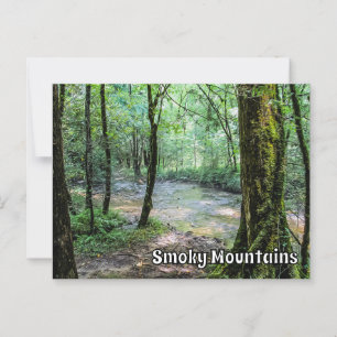 Smoky Mountains Cataract Falls Hiking Trail View  Postcard
