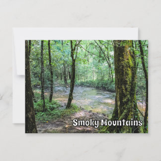 Smoky Mountains Cataract Falls Hiking Trail View  Postcard