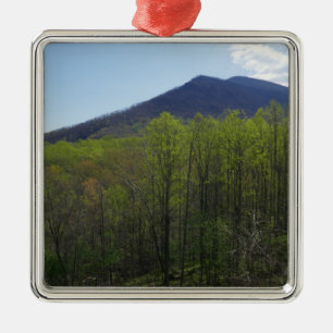 Smoky Mountains in Spring Landscape Metal Tree Decoration