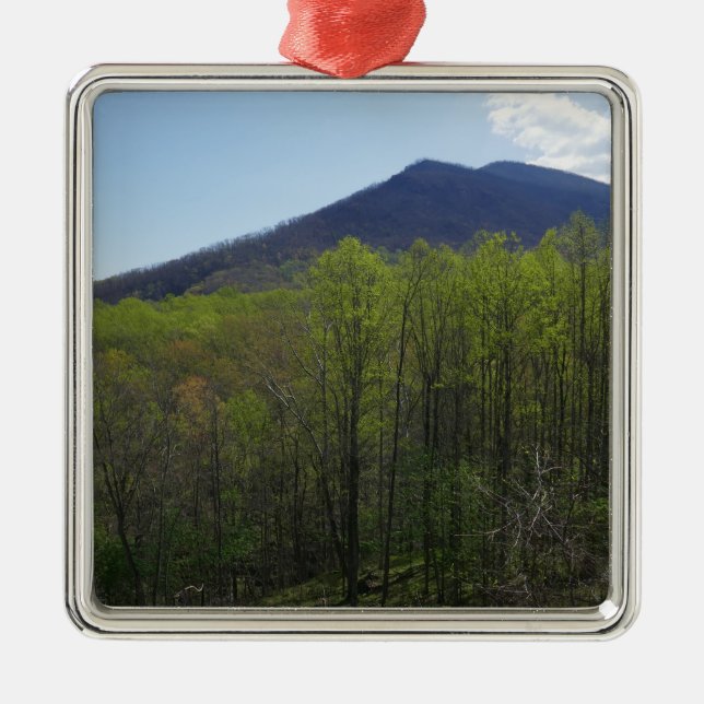 Smoky Mountains in Spring Landscape Metal Tree Decoration (Front)