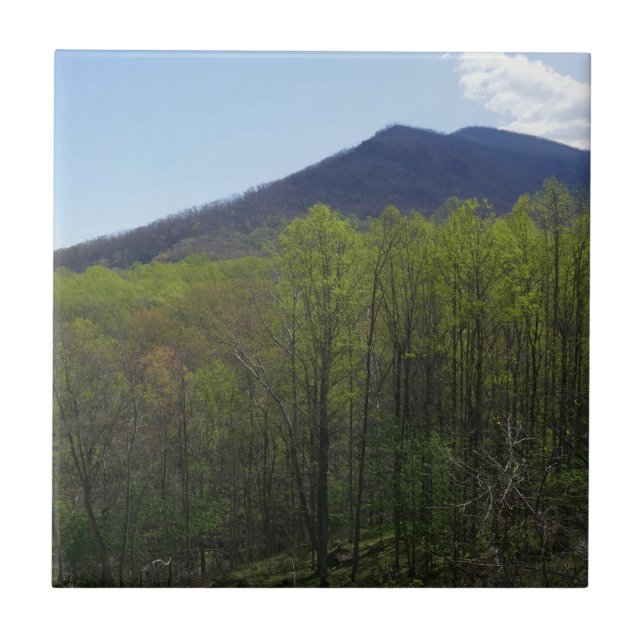 Smoky Mountains in Spring Landscape Tile (Front)
