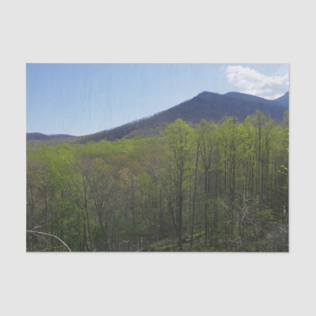 Smoky Mountains in Spring Landscape Tissue Paper (Front)