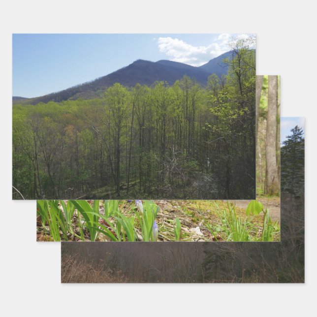Smoky Mountains in Spring Landscape Wrapping Paper Sheet (Set)