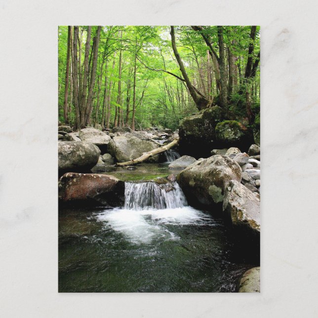 Smoky Mountains Postcard (Front)