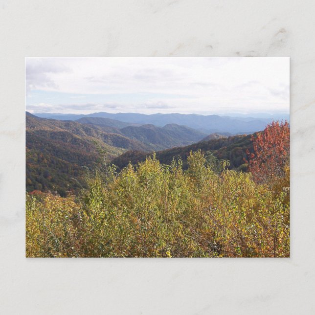 Smoky Mountains Postcard (Front)