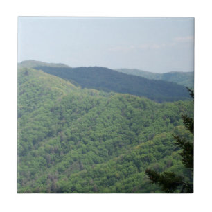 Smoky Mountains Trivet Tile 1