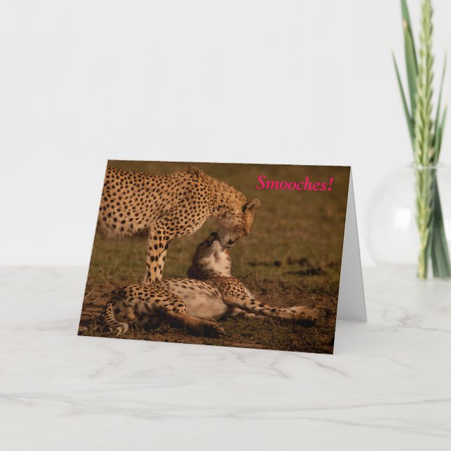 Smooches - Cheetah Valentine Holiday Card (Front)