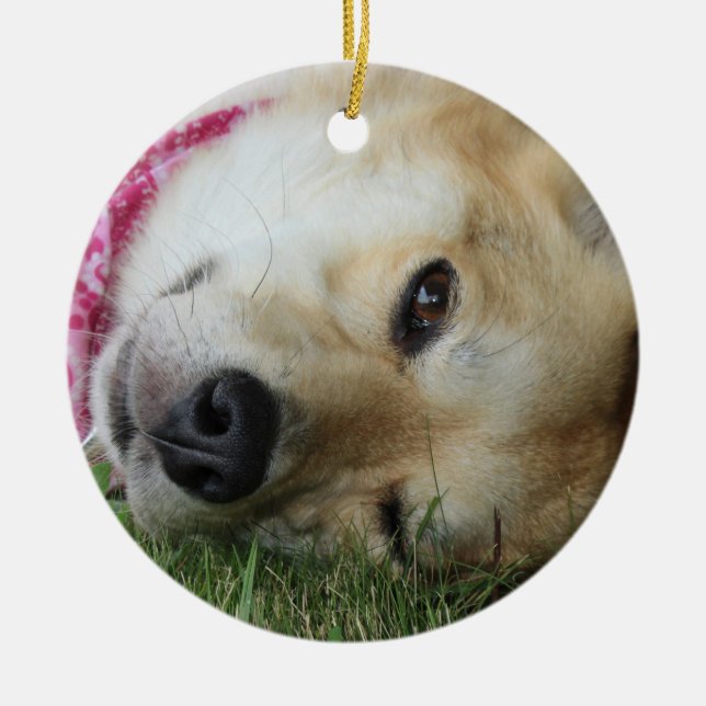 Smoochie Ceramic Tree Decoration (Front)