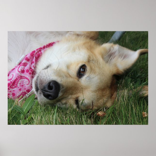 Smoochie Poster (Front)