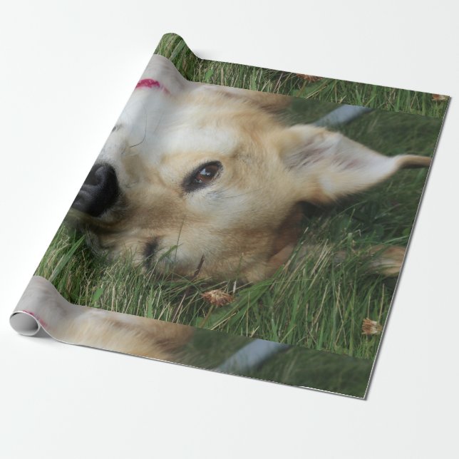 Smoochie Wrapping Paper (Unrolled)