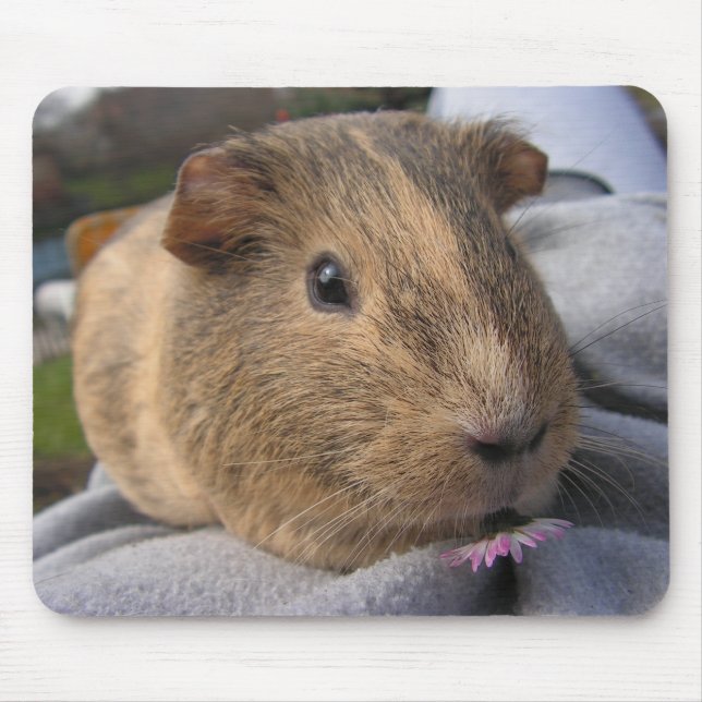 Smooth, Agouti Guinea Pig and Pink Flower Mouse Mat (Front)