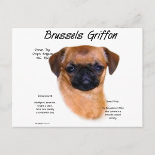 Smooth Brussels Griffon History Postcard